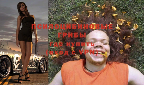 сатива Михайловск