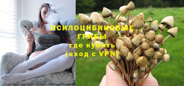 apvp Сосновка