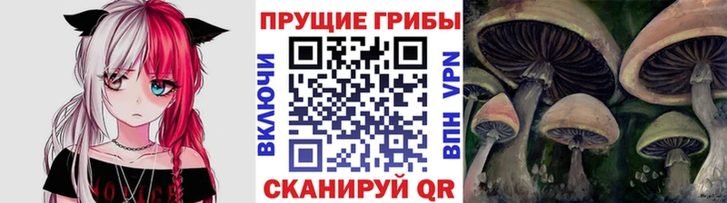 Галлюциногенные грибы прущие грибы  купить наркоту  ОМГ ОМГ ONION  Спас-Деменск 