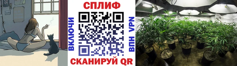 где найти   Спас-Деменск  Шишки марихуана планчик 